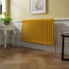 Bern 600 x 1010mm Zinc Yellow Double Column Horizontal Traditional Radiator