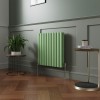 Norden 600 x 591mm Pastel Green Double Oval Column Horizontal Designer Radiator