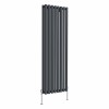 Voss 1600 x 545mm Anthracite Double Round Tube Vertical Radiator
