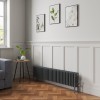Bern 300 x 1460mm Anthracite Four Column Horizontal Traditional Radiator