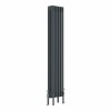 Bern 1500 x 290mm Anthracite Four Column Vertical Traditional Radiator