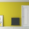 Carisa Pipette 600 x 660mm Anthracite Designer Aluminium Radiator