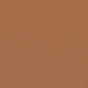 Sample Metallic Bronze
