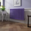 Bern 600 x 1010mm Elegant Purple Double Column Horizontal Traditional Radiator