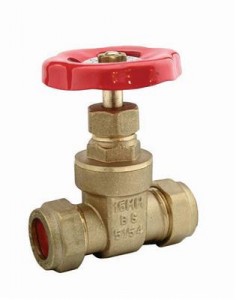 15mm British Standard Gate Valve