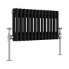 Bern 300 x 605mm Black Double Horizontal Column Radiator