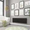 Norden 473 x 1600mm Black Double Horizontal Oval Tube Designer Radiator