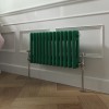 Bern 300 x 605mm Moss Green Double Horizontal Column Radiator