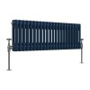 Bern 300 x 1010mm Sapphire Blue Double Column Horizontal Traditional Radiator