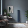 Karlstad 1600 x 274mm Sapphire Blue Double Vertical Flat Panel Designer Radiator