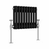 Bern 300 x 425mm Black Double Horizontal Column Radiator