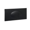Large Black Dual Flush Plate