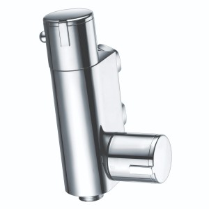 Douche Thermostatic Vertical Valve Chrome