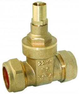 22mm British Standard Lockshield Gate Valve