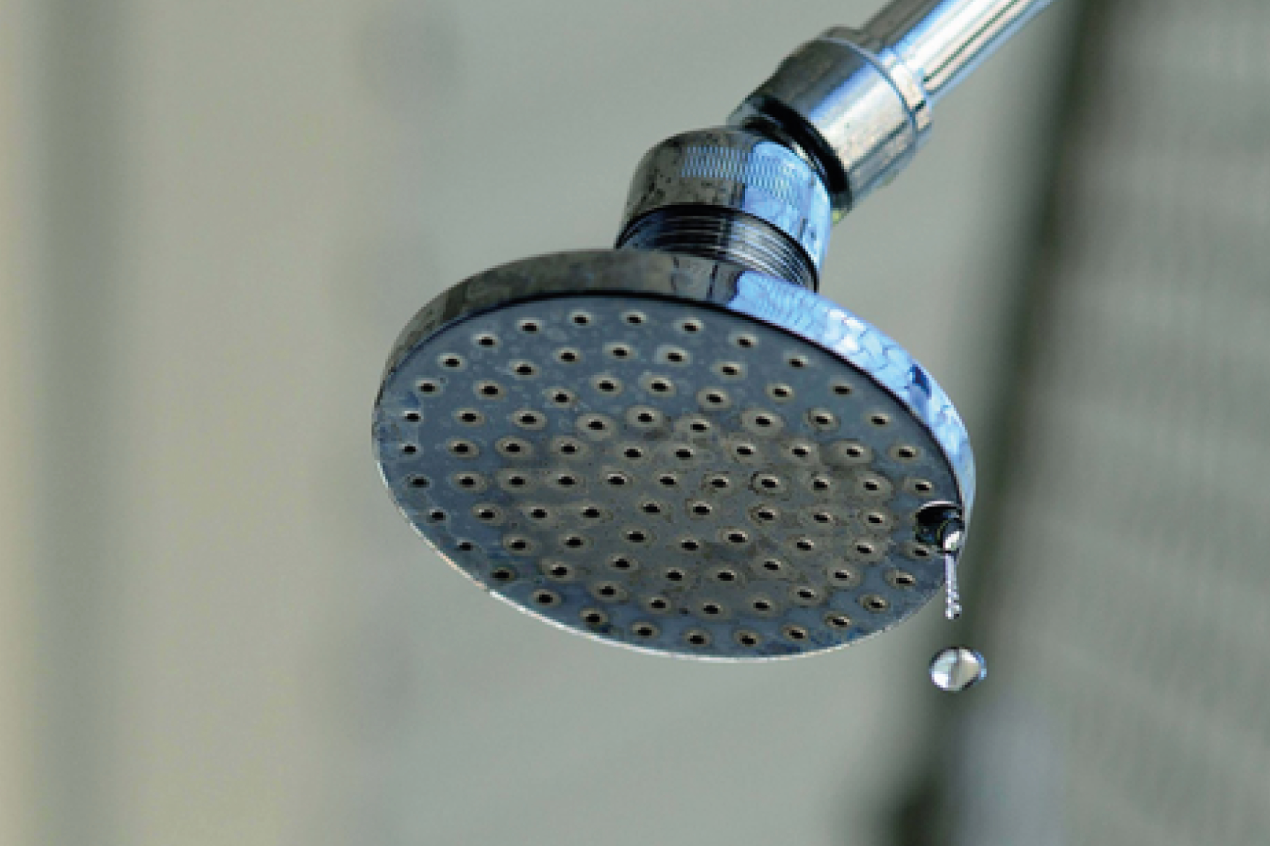 Leaking Shower Head On Blured Background